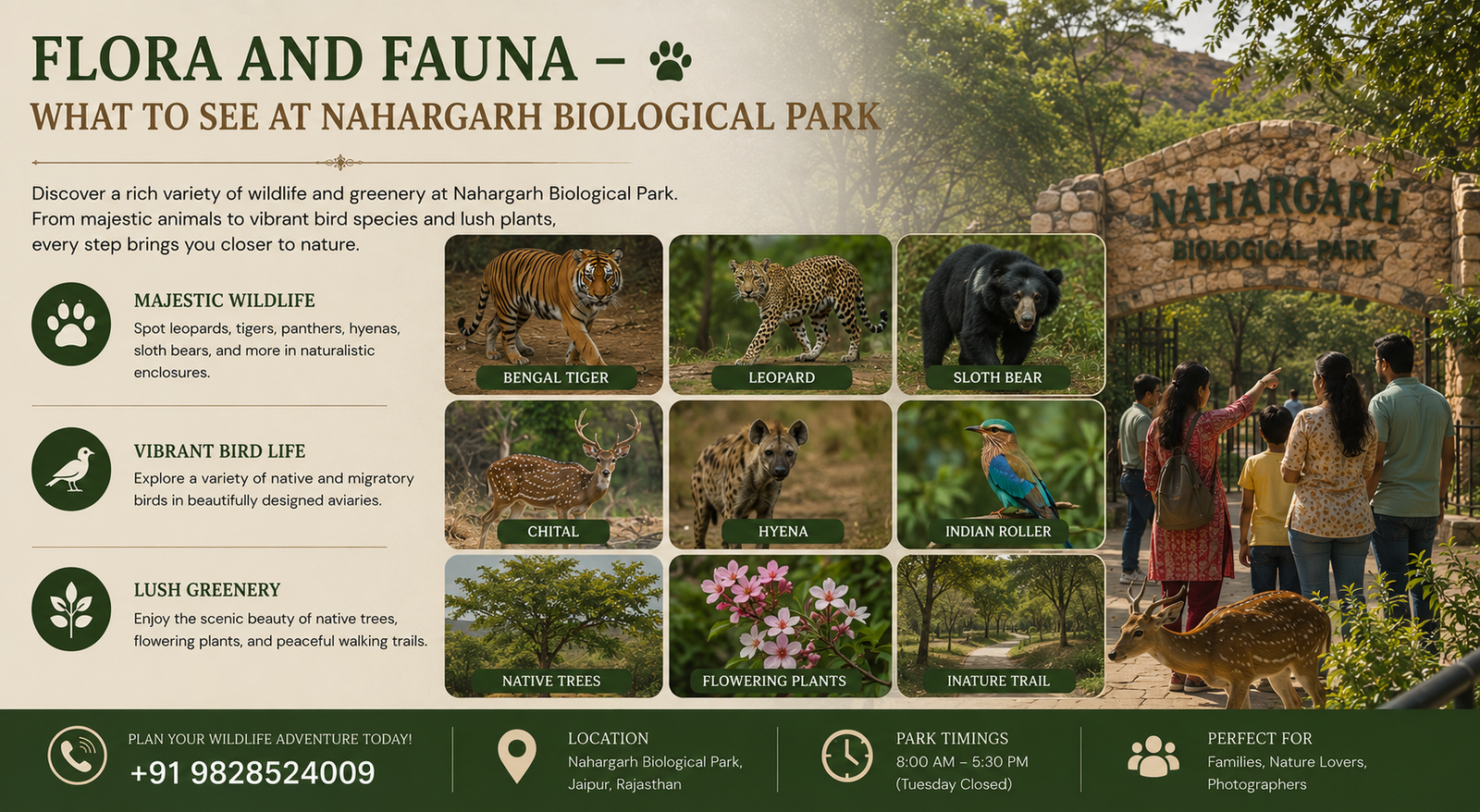 Flora and Fauna – What to See at Nahargarh Biological Park