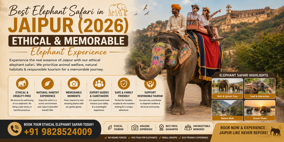 Best Elephant Safari in Jaipur (2026): Ethical & Memorable Elephant Experience