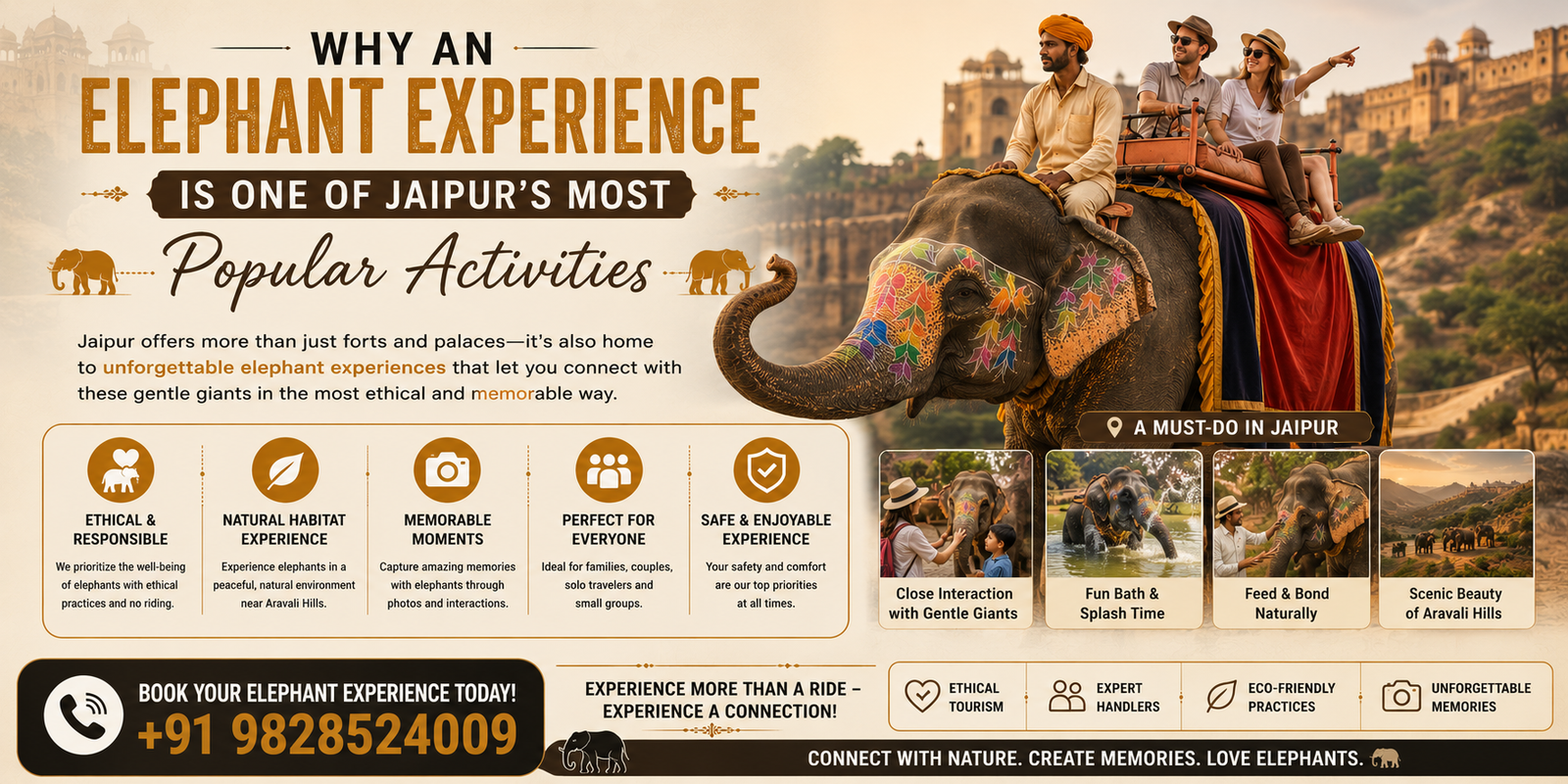 Why an Elephant Experience is One of Jaipur's Most Popular Activities